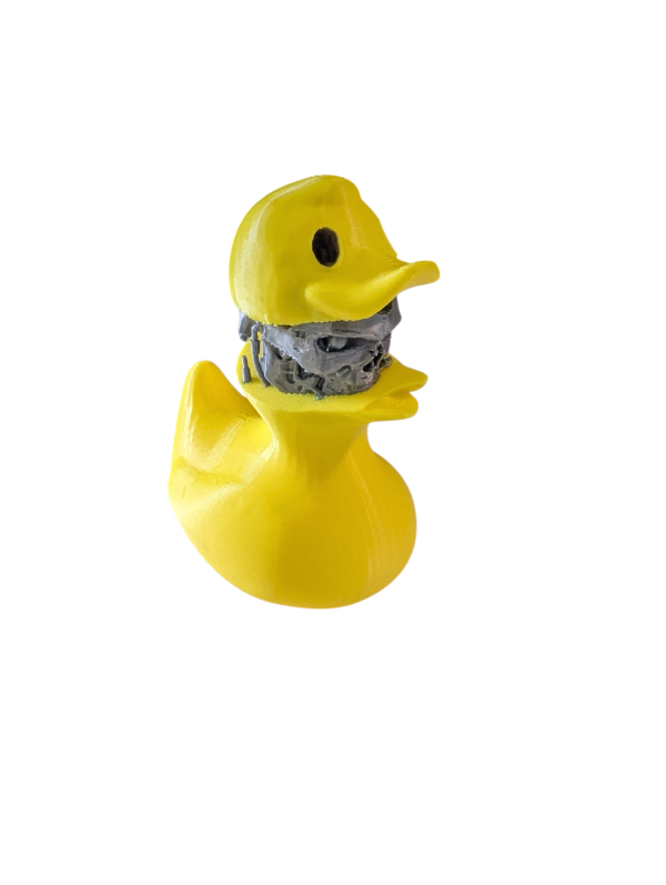 PXL_20250123_051646914-Photoroom