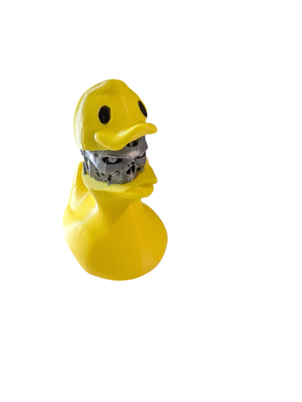 PXL_20250123_051652321.MP-Photoroom