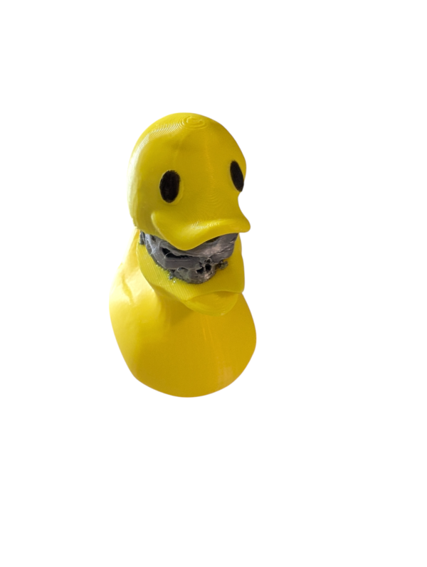 PXL_20250123_051655462.MP-Photoroom