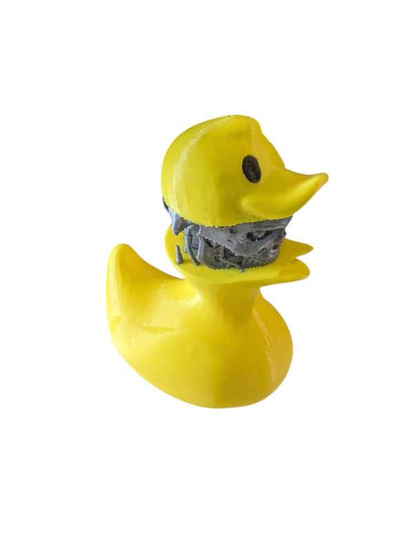 PXL_20250123_051702775-Photoroom