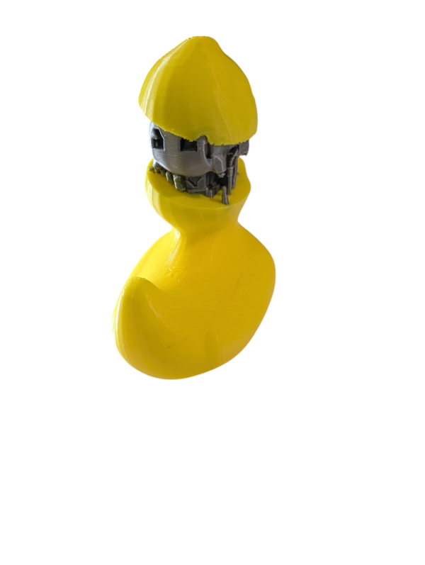 PXL_20250123_051709154-Photoroom