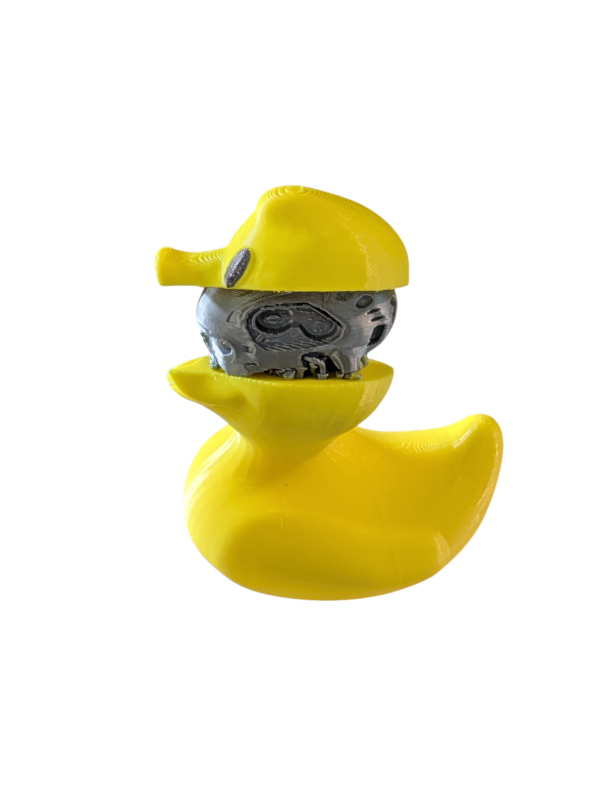 PXL_20250123_051740745-Photoroom