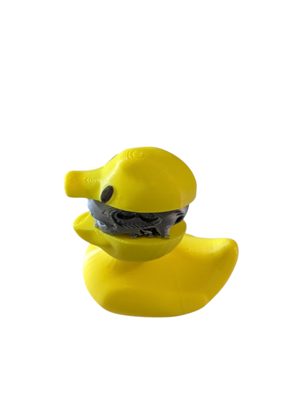 PXL_20250123_051743399.MP-Photoroom