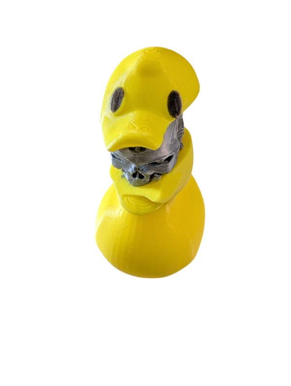 PXL_20250123_051750613-Photoroom