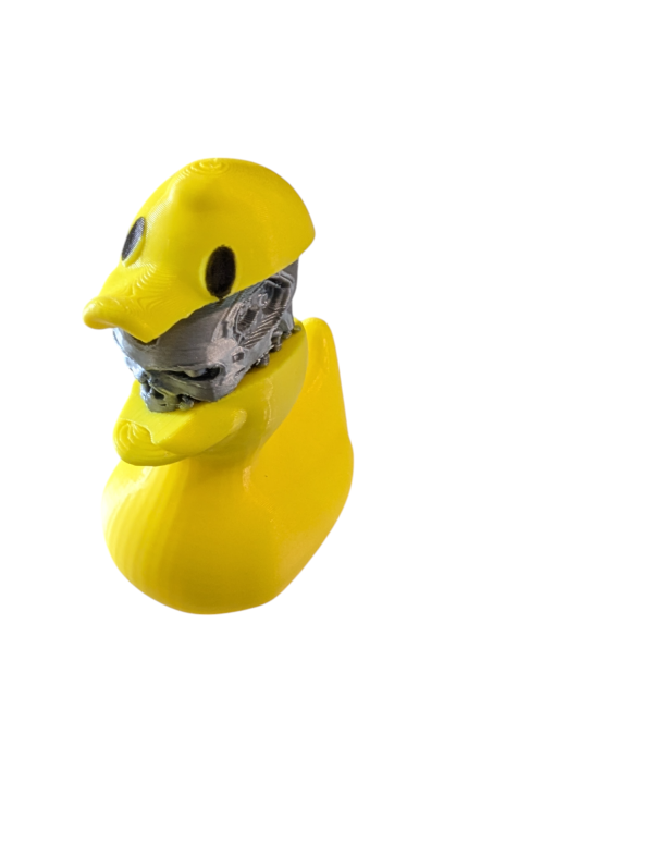 PXL_20250123_051755796-Photoroom