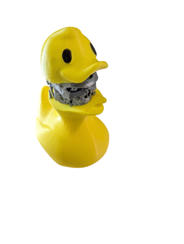 PXL_20250123_051803480-Photoroom