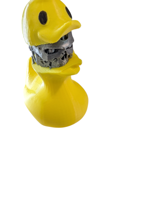 PXL_20250123_051805844-Photoroom