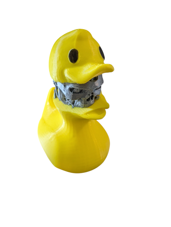 PXL_20250123_051811544-Photoroom