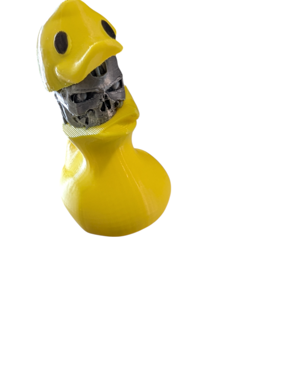 PXL_20250123_051831561-Photoroom