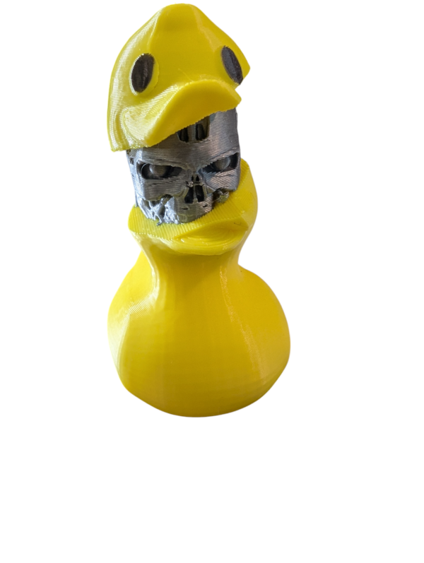 PXL_20250123_051837258.MP-Photoroom