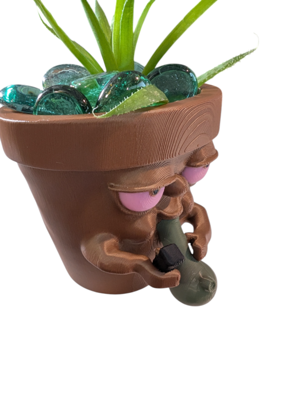 PXL_20250125_234323615.MP-Photoroom