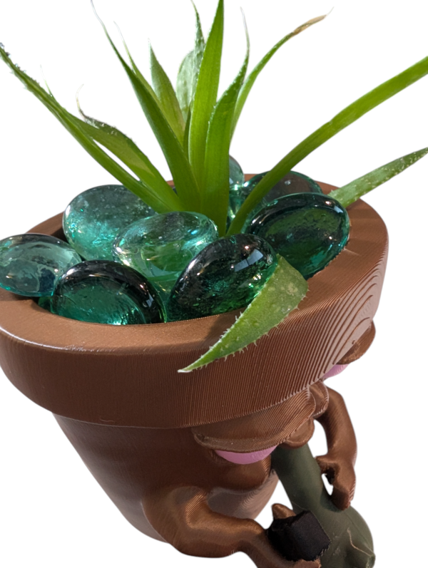 PXL_20250125_234327611.MP-Photoroom